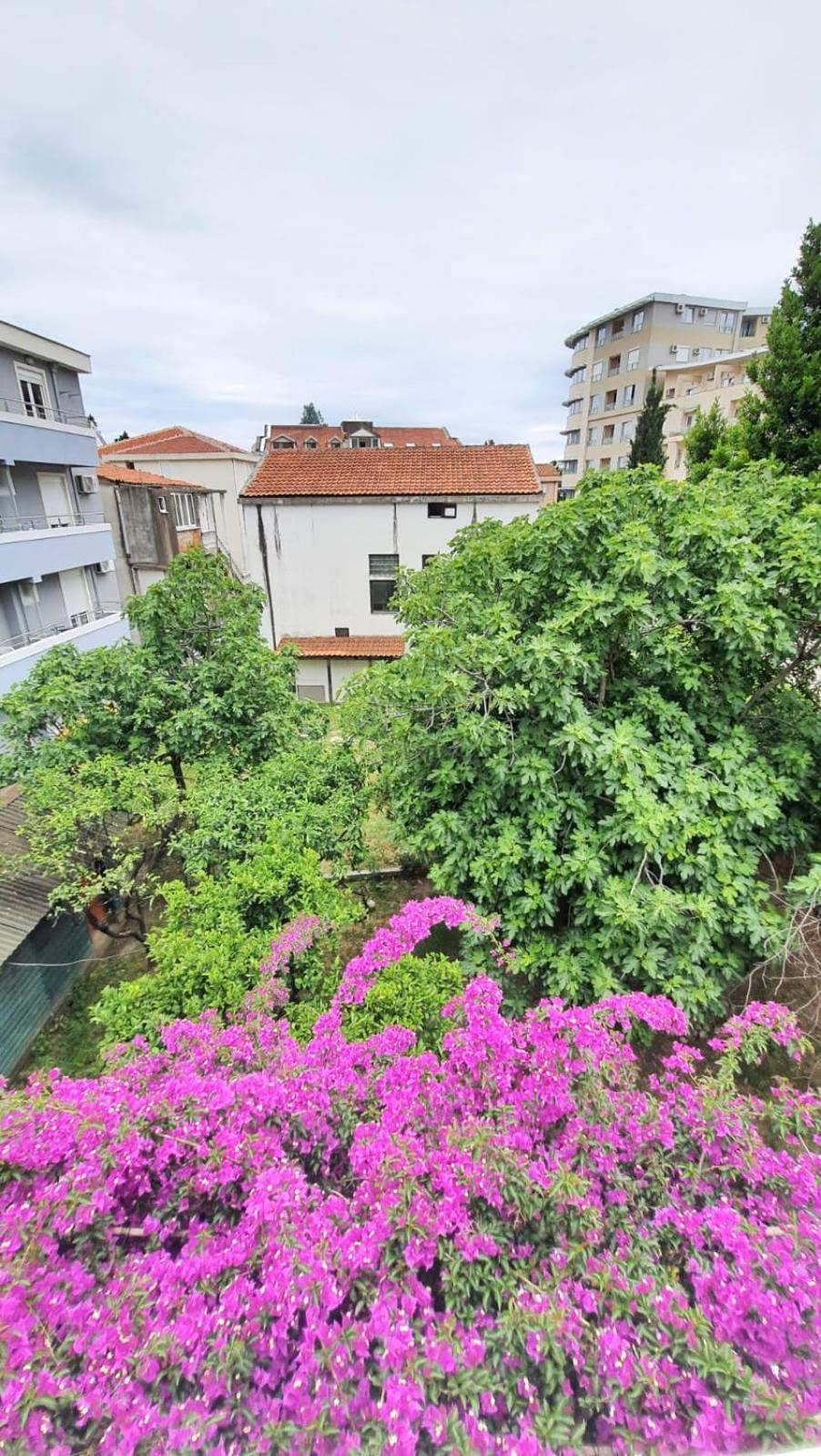 Vojinovic Apartments Budva Room photo